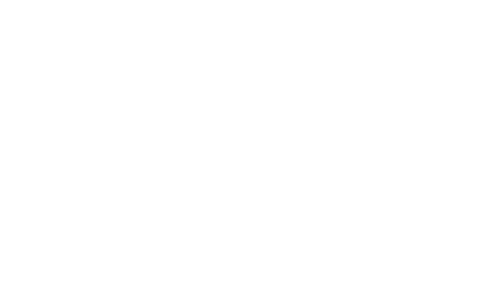 Hoviputki